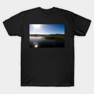 Sunlight Reflection T-Shirt